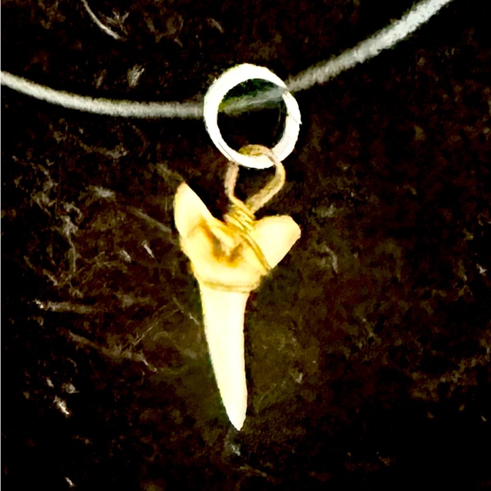 Shark tooth Necklace